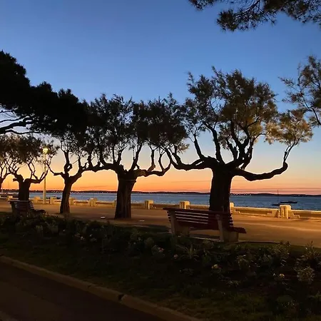 T3 Vue Avec Grande Terrasse